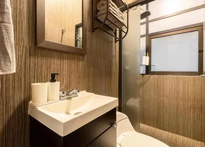204 Historic Center 2bdrm 2bath Ac Rooftop Apartment Mexico City